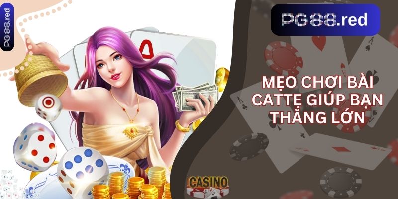 Mẹo chơi bài catte giúp bạn thắng lớn